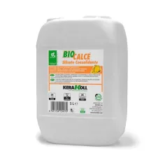 Fijador consolidante base silicato Biocalce Silicato Consolidante