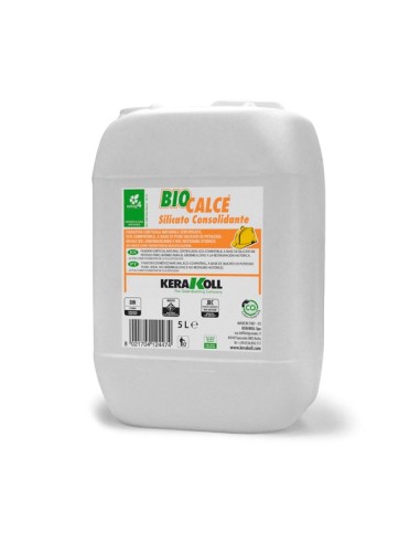 Fijador consolidante base silicato Biocalce Silicato Consolidante